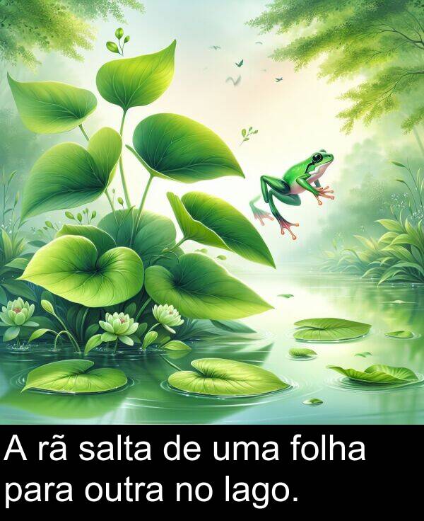 para: A rã salta de uma folha para outra no lago.