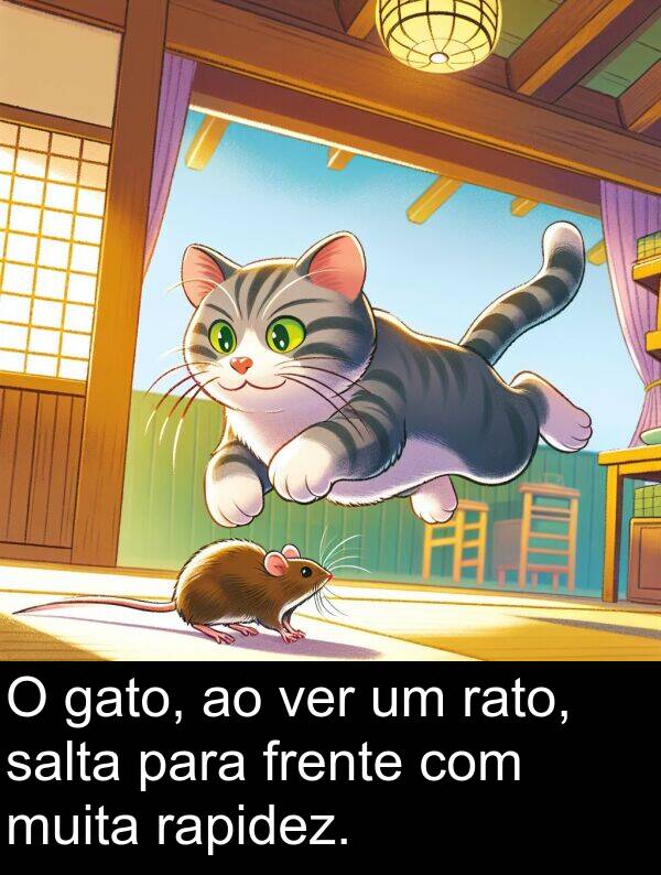 salta: O gato, ao ver um rato, salta para frente com muita rapidez.