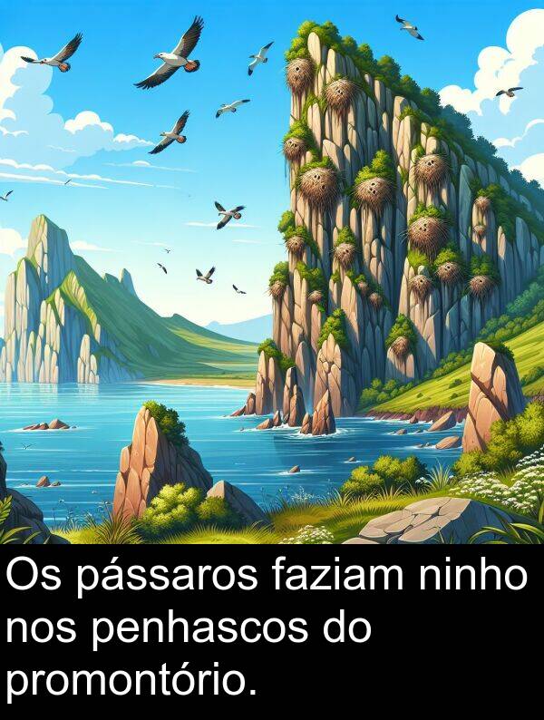 faziam: Os pássaros faziam ninho nos penhascos do promontório.