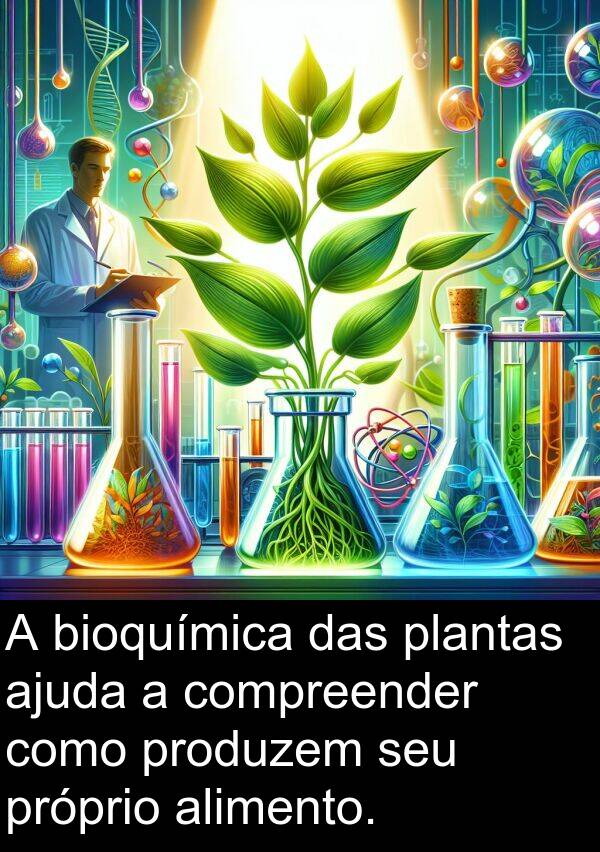 ajuda: A bioquímica das plantas ajuda a compreender como produzem seu próprio alimento.
