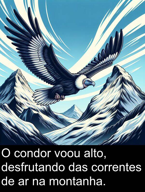 desfrutando: O condor voou alto, desfrutando das correntes de ar na montanha.