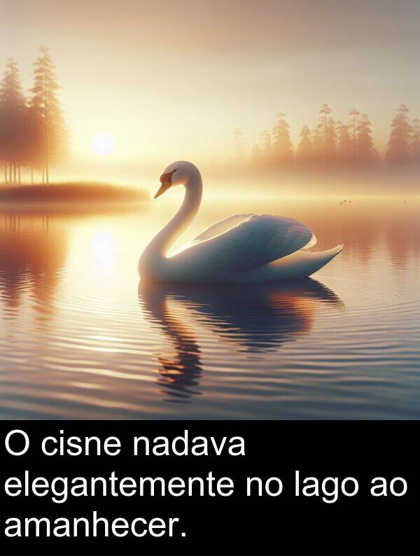 lago: O cisne nadava elegantemente no lago ao amanhecer.