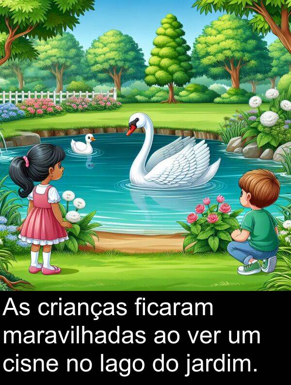 ver: As crianças ficaram maravilhadas ao ver um cisne no lago do jardim.
