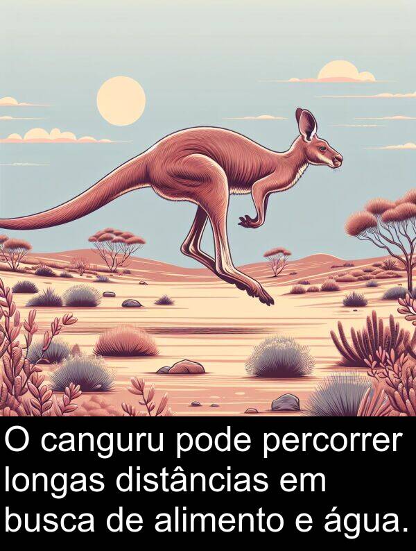 canguru: O canguru pode percorrer longas distâncias em busca de alimento e água.