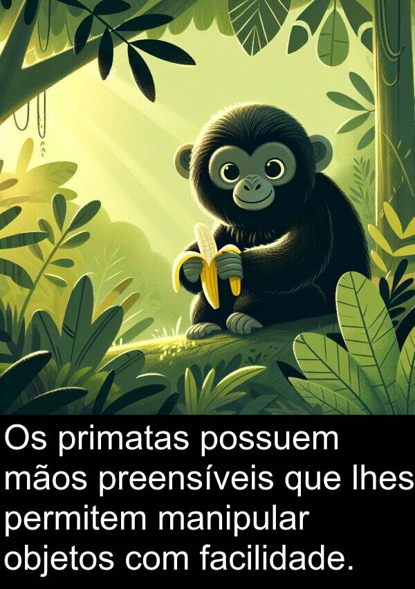manipular: Os primatas possuem mãos preensíveis que lhes permitem manipular objetos com facilidade.