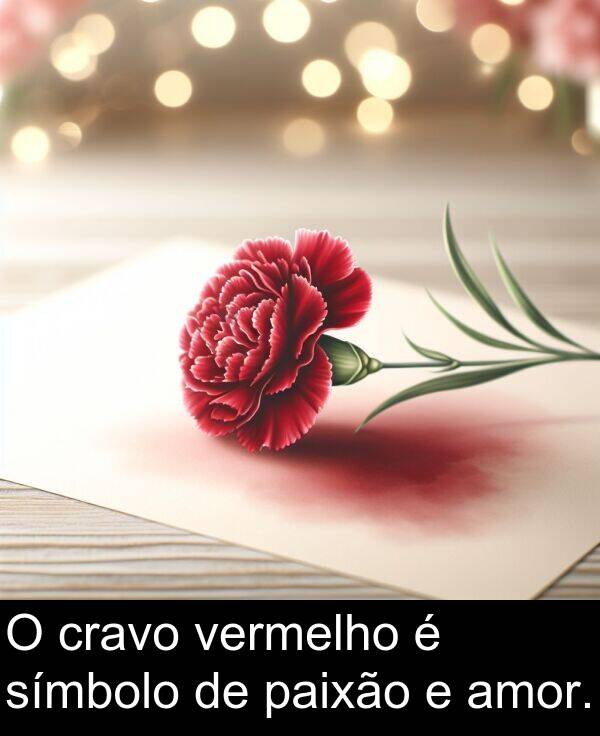 paixão: O cravo vermelho é símbolo de paixão e amor.