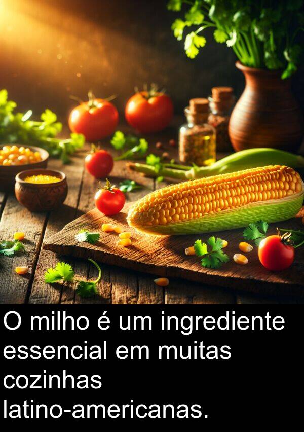 cozinhas: O milho é um ingrediente essencial em muitas cozinhas latino-americanas.