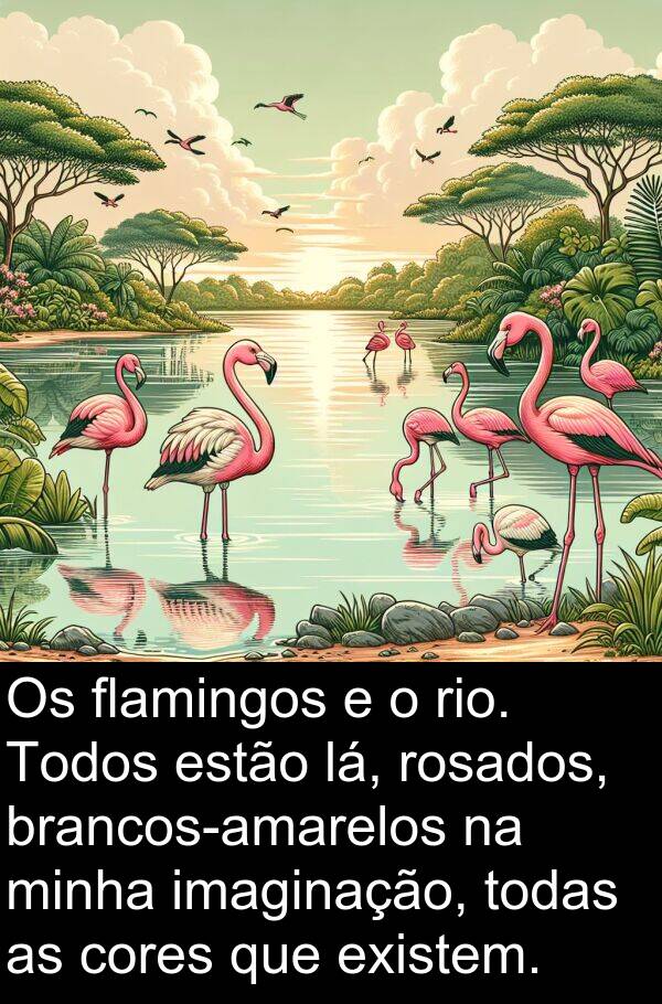 lá: Os flamingos e o rio. Todos estão lá, rosados, brancos-amarelos na minha imaginação, todas as cores que existem.