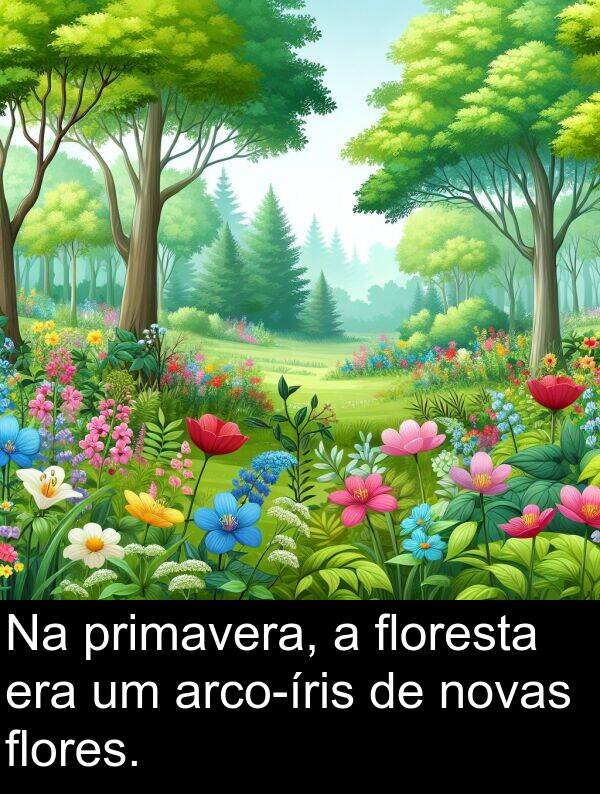 flores: Na primavera, a floresta era um arco-íris de novas flores.