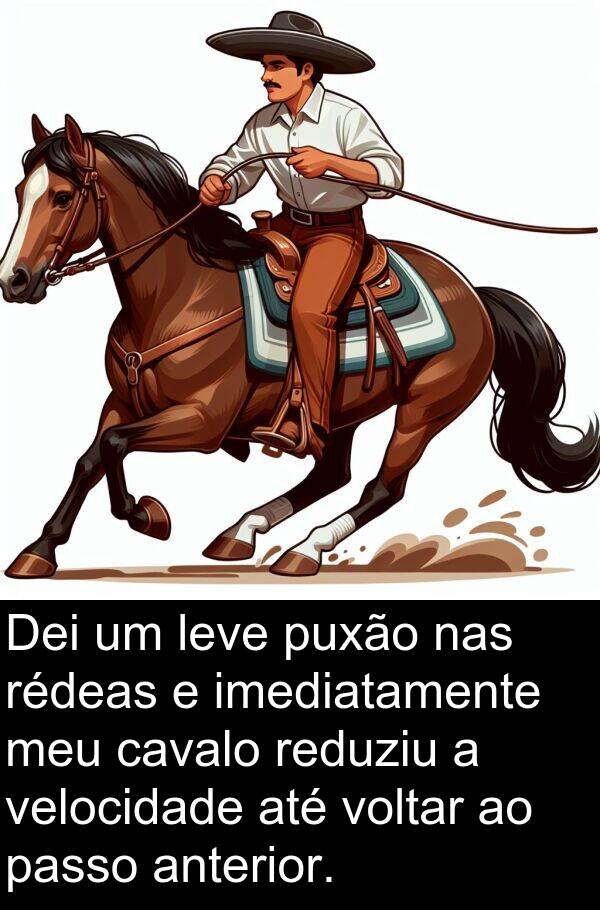 nas: Dei um leve puxão nas rédeas e imediatamente meu cavalo reduziu a velocidade até voltar ao passo anterior.