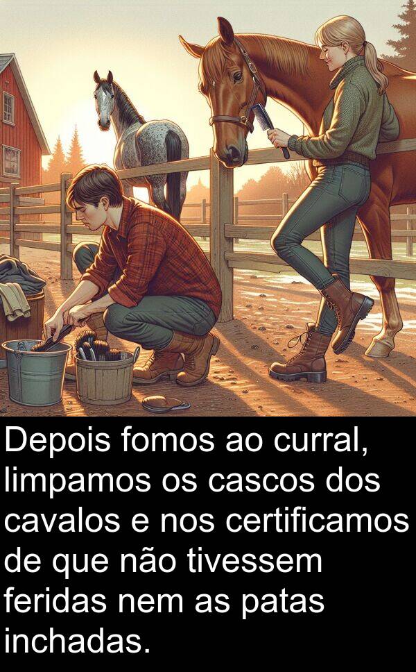 nem: Depois fomos ao curral, limpamos os cascos dos cavalos e nos certificamos de que não tivessem feridas nem as patas inchadas.