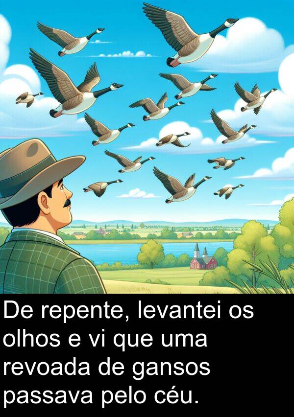 gansos: De repente, levantei os olhos e vi que uma revoada de gansos passava pelo céu.