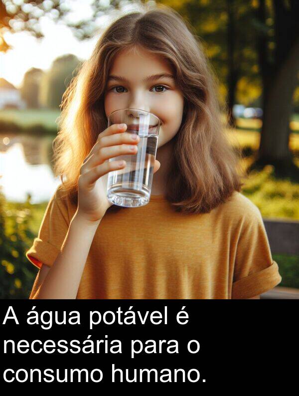 necessária: A água potável é necessária para o consumo humano.