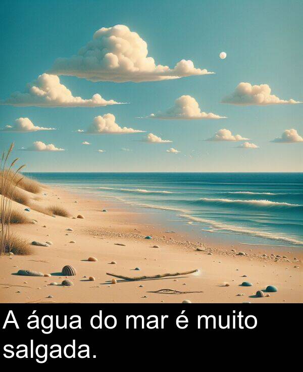 salgada: A água do mar é muito salgada.