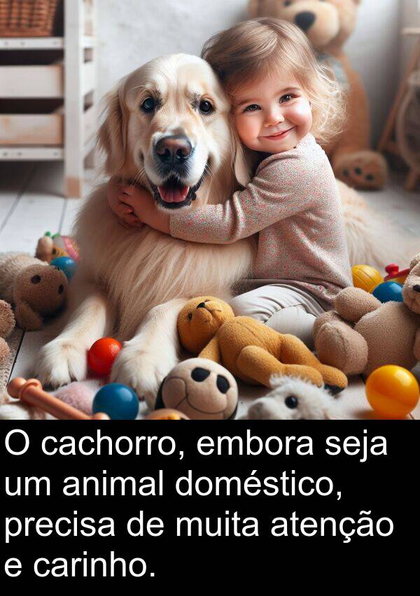 precisa: O cachorro, embora seja um animal doméstico, precisa de muita atenção e carinho.