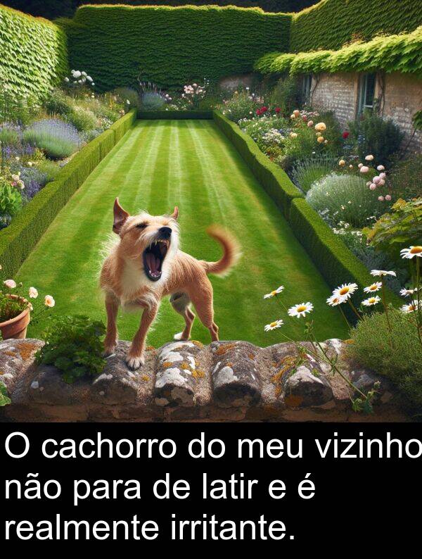 cachorro: O cachorro do meu vizinho não para de latir e é realmente irritante.