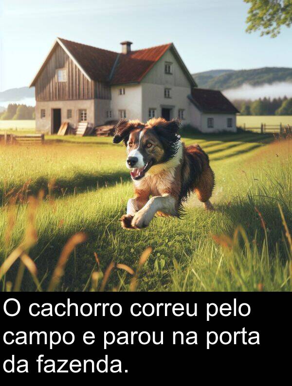 porta: O cachorro correu pelo campo e parou na porta da fazenda.