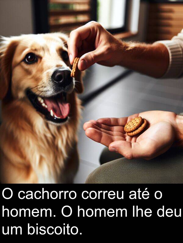 cachorro: O cachorro correu até o homem. O homem lhe deu um biscoito.