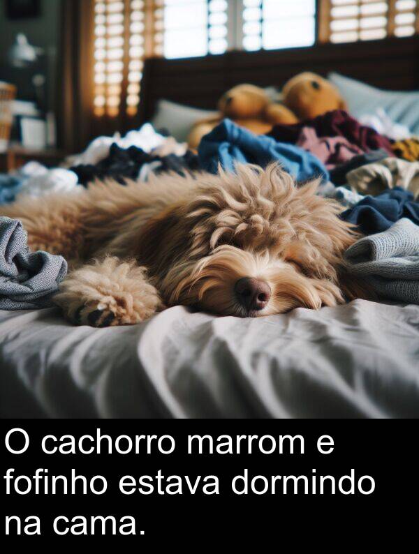 cama: O cachorro marrom e fofinho estava dormindo na cama.
