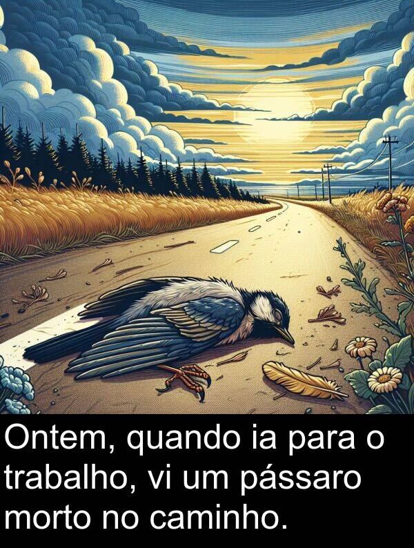 caminho: Ontem, quando ia para o trabalho, vi um pássaro morto no caminho.