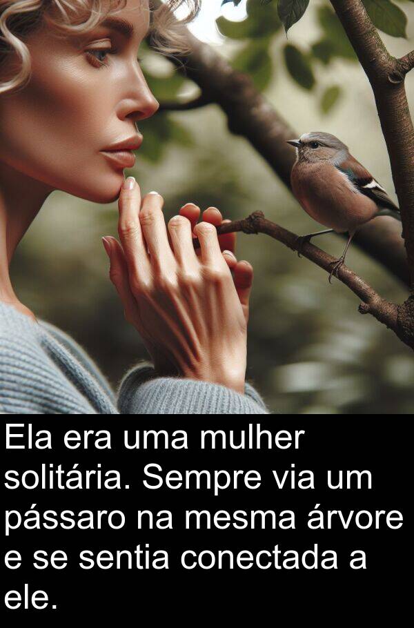 mesma: Ela era uma mulher solitária. Sempre via um pássaro na mesma árvore e se sentia conectada a ele.