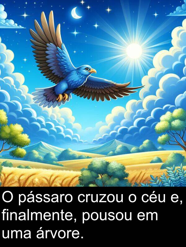 cruzou: O pássaro cruzou o céu e, finalmente, pousou em uma árvore.