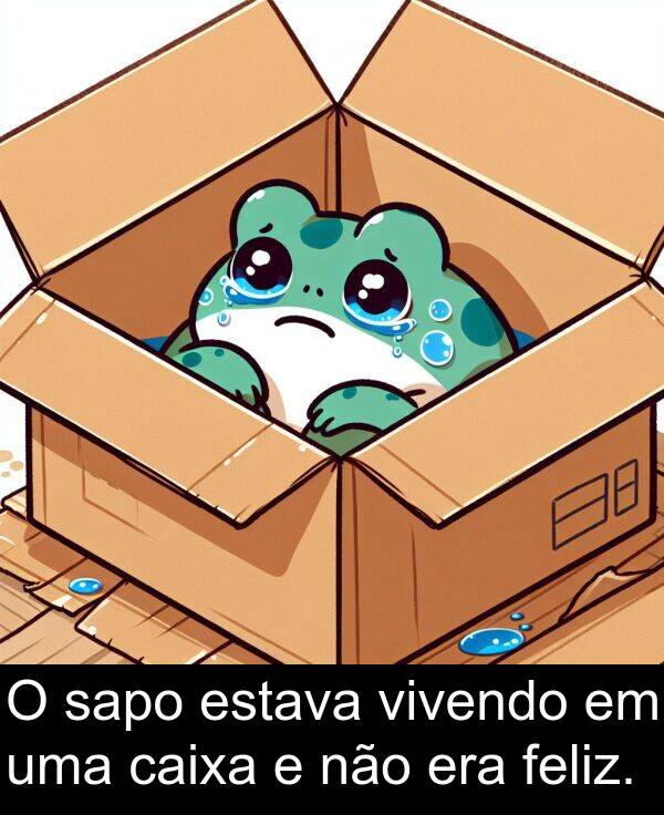 não: O sapo estava vivendo em uma caixa e não era feliz.