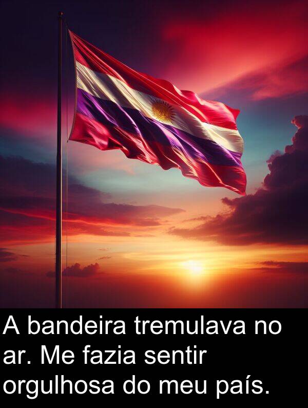 fazia: A bandeira tremulava no ar. Me fazia sentir orgulhosa do meu país.
