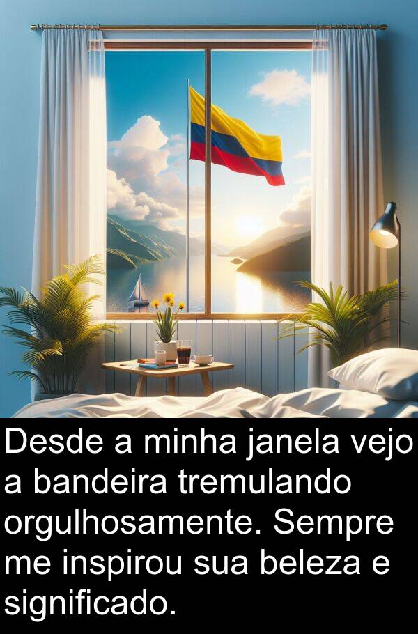 janela: Desde a minha janela vejo a bandeira tremulando orgulhosamente. Sempre me inspirou sua beleza e significado.