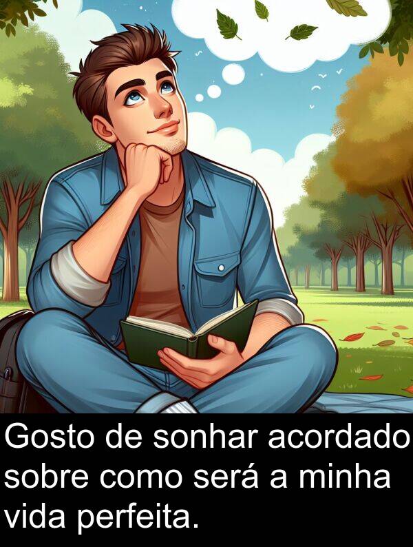 acordado: Gosto de sonhar acordado sobre como será a minha vida perfeita.