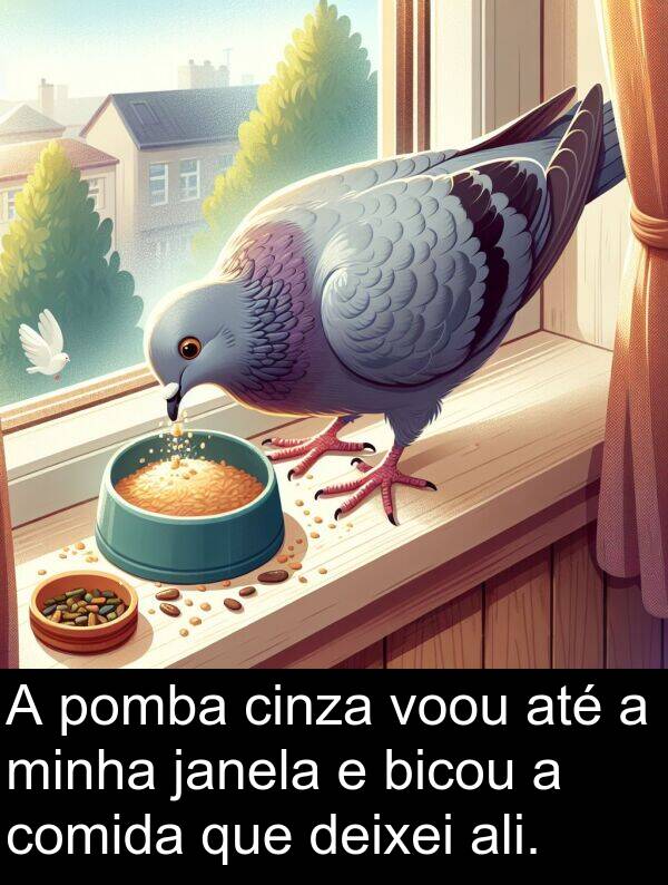janela: A pomba cinza voou até a minha janela e bicou a comida que deixei ali.