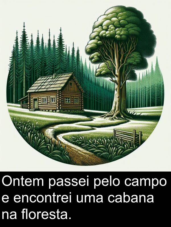 pelo: Ontem passei pelo campo e encontrei uma cabana na floresta.