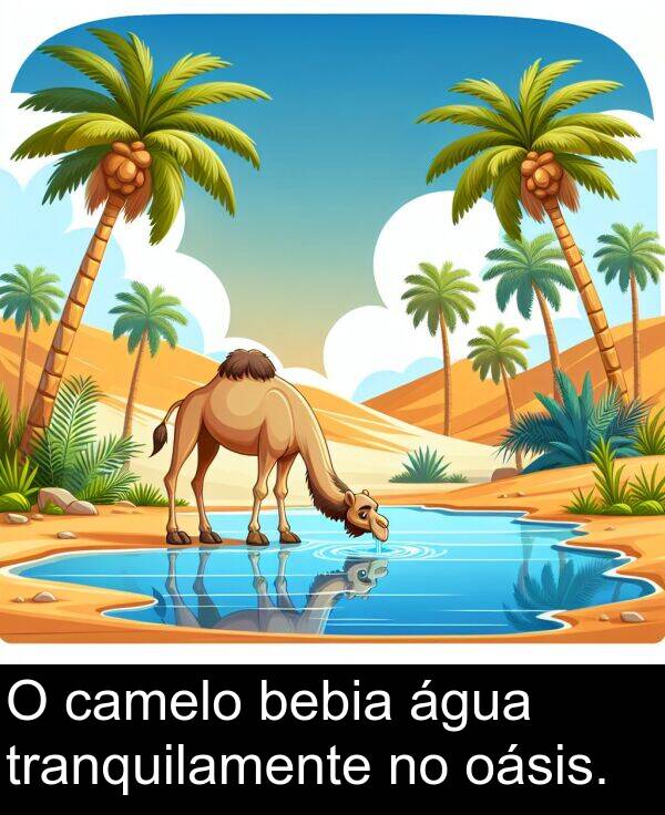 camelo: O camelo bebia água tranquilamente no oásis.