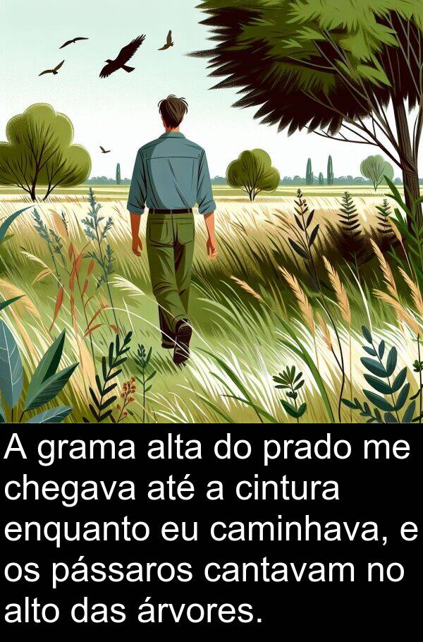 caminhava: A grama alta do prado me chegava até a cintura enquanto eu caminhava, e os pássaros cantavam no alto das árvores.