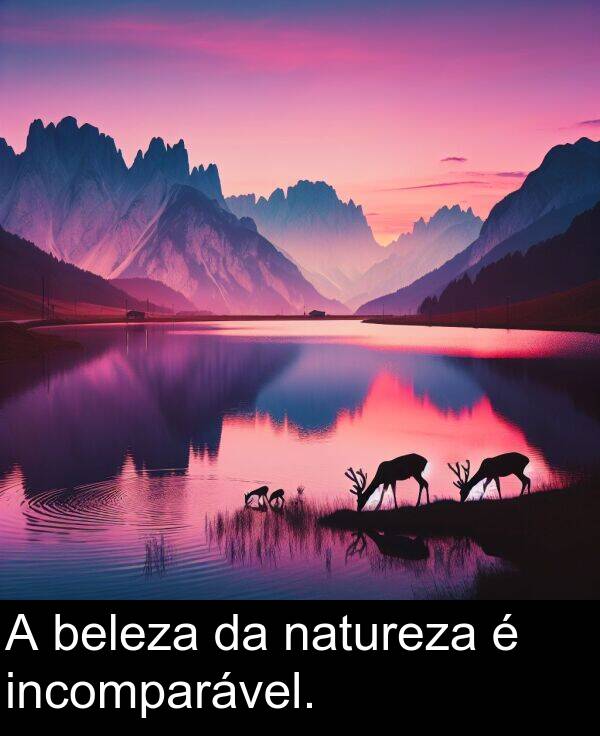 natureza: A beleza da natureza é incomparável.