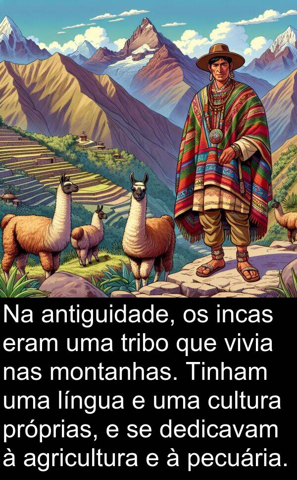dedicavam: Na antiguidade, os incas eram uma tribo que vivia nas montanhas. Tinham uma língua e uma cultura próprias, e se dedicavam à agricultura e à pecuária.