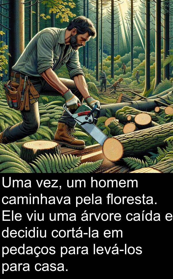 vez: Uma vez, um homem caminhava pela floresta. Ele viu uma árvore caída e decidiu cortá-la em pedaços para levá-los para casa.