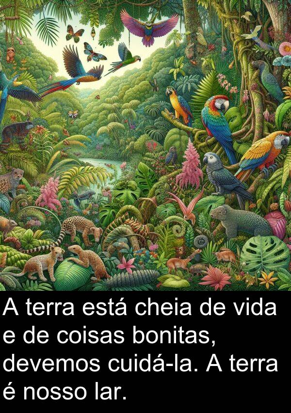 coisas: A terra está cheia de vida e de coisas bonitas, devemos cuidá-la. A terra é nosso lar.
