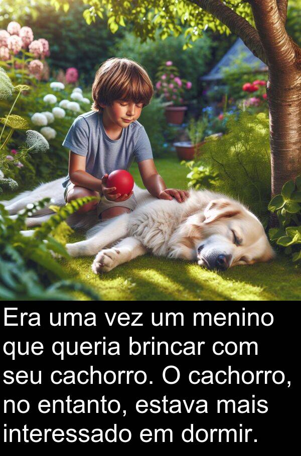 vez: Era uma vez um menino que queria brincar com seu cachorro. O cachorro, no entanto, estava mais interessado em dormir.