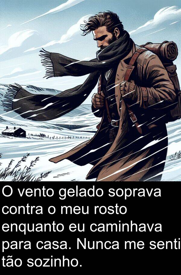 vento: O vento gelado soprava contra o meu rosto enquanto eu caminhava para casa. Nunca me senti tão sozinho.