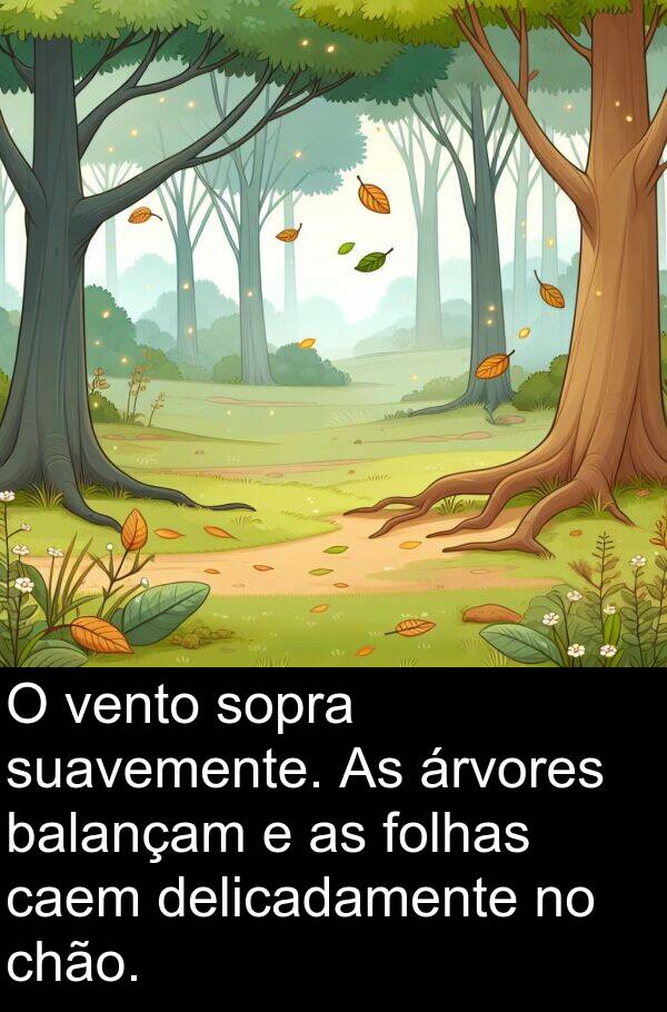 vento: O vento sopra suavemente. As árvores balançam e as folhas caem delicadamente no chão.
