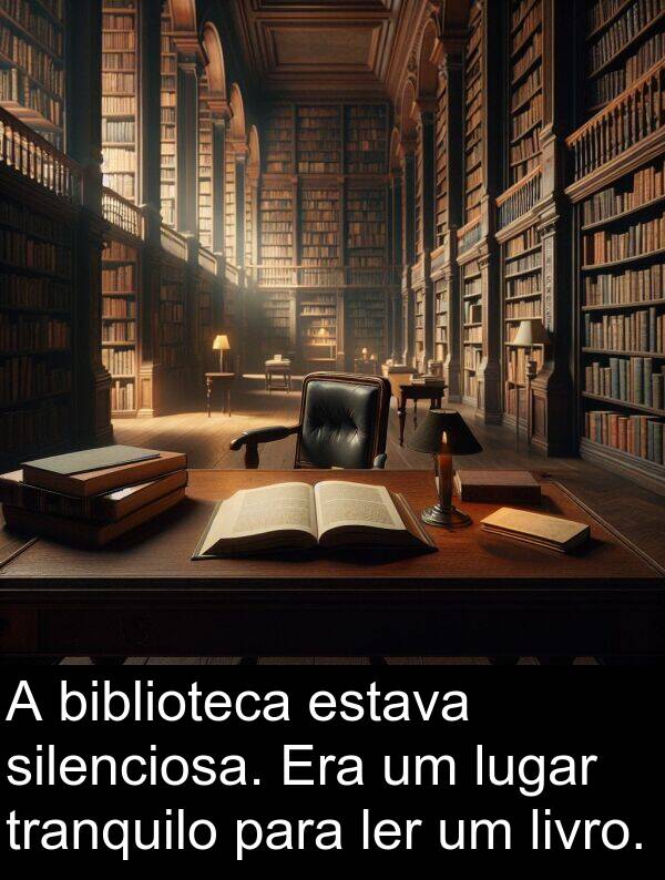livro: A biblioteca estava silenciosa. Era um lugar tranquilo para ler um livro.