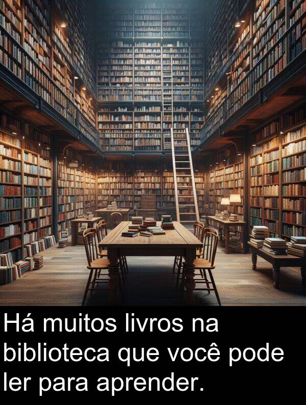 pode: Há muitos livros na biblioteca que você pode ler para aprender.