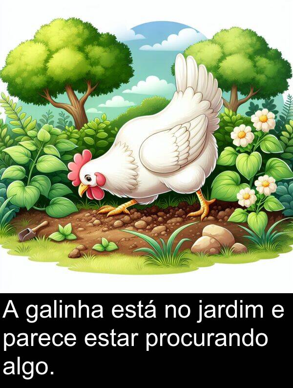 parece: A galinha está no jardim e parece estar procurando algo.