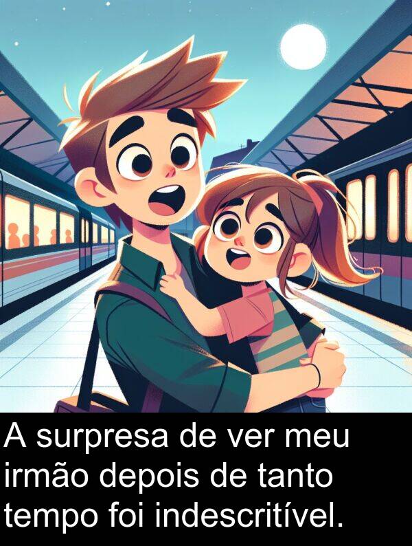 ver: A surpresa de ver meu irmão depois de tanto tempo foi indescritível.