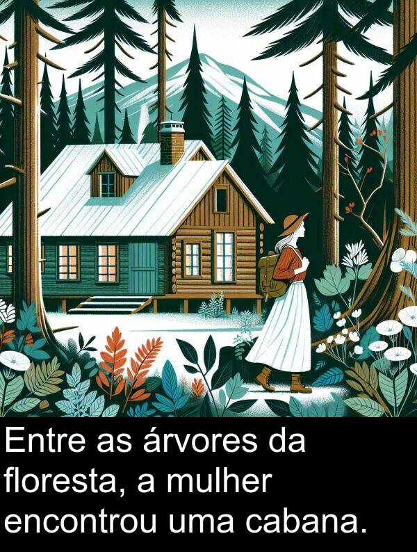 árvores: Entre as árvores da floresta, a mulher encontrou uma cabana.