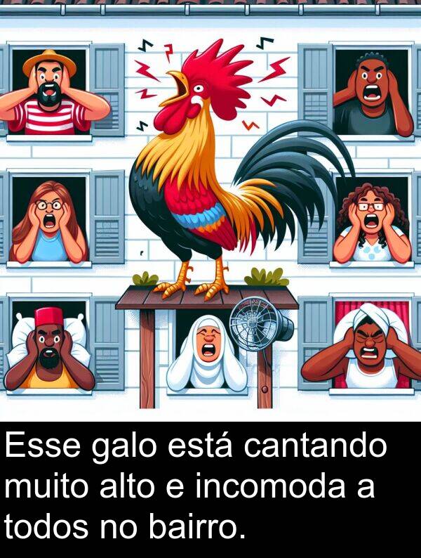 galo: Esse galo está cantando muito alto e incomoda a todos no bairro.