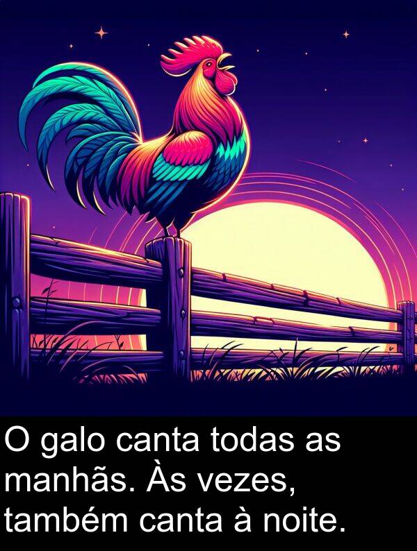 galo: O galo canta todas as manhãs. Às vezes, também canta à noite.