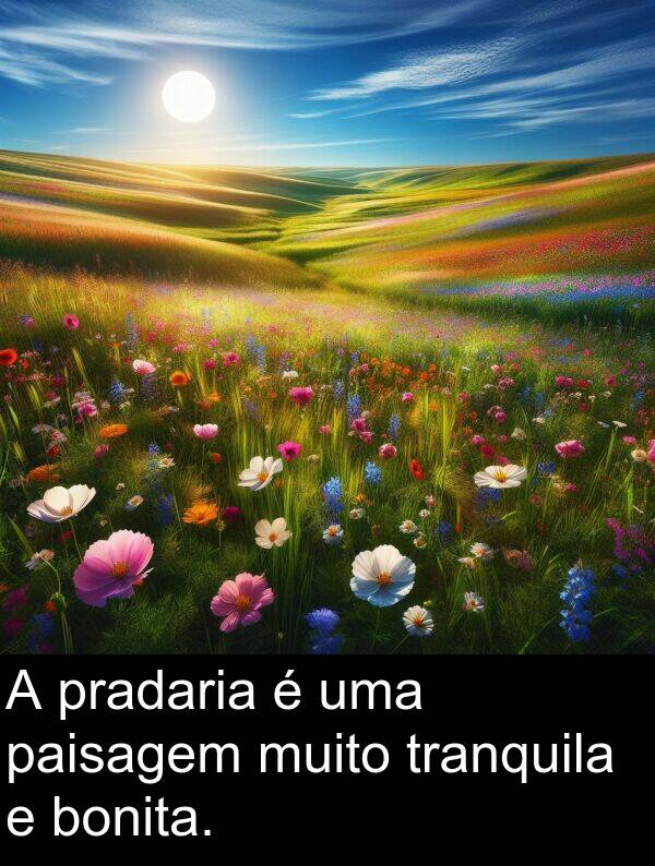 pradaria: A pradaria é uma paisagem muito tranquila e bonita.