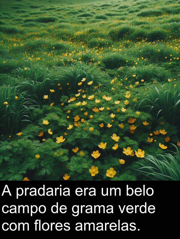 pradaria: A pradaria era um belo campo de grama verde com flores amarelas.